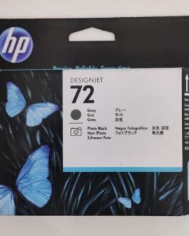 HP 72 Gray and Photo Black Printhead